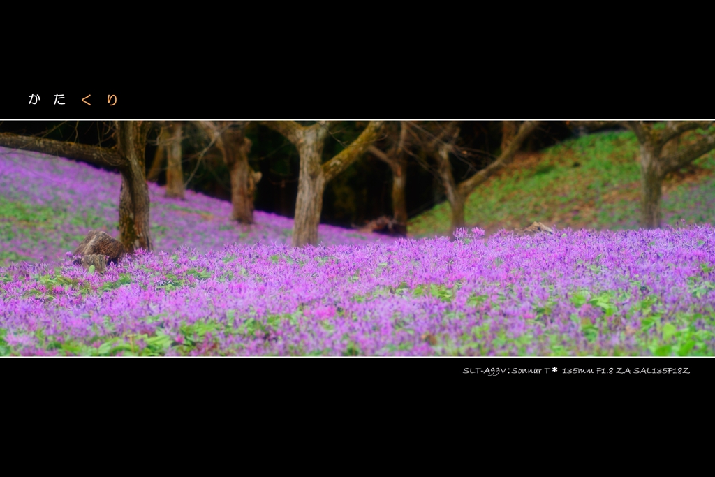 栗の木の下のくり 