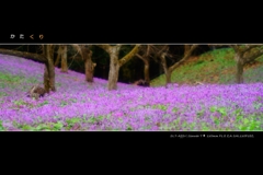 栗の木の下のくり 
