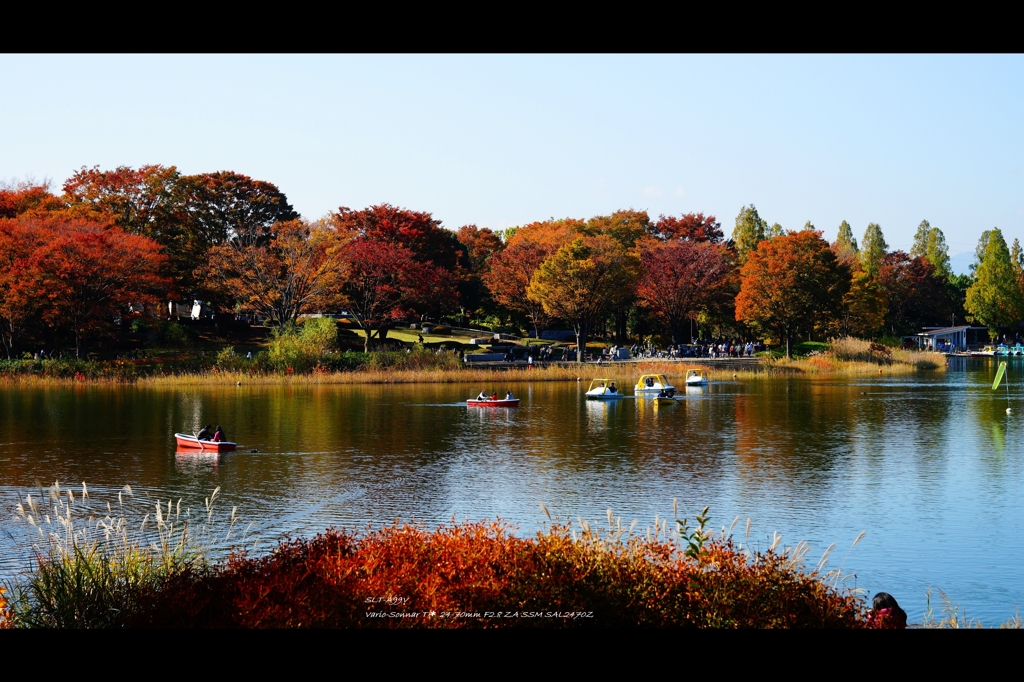 将記念公園3