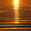 細波に朝日