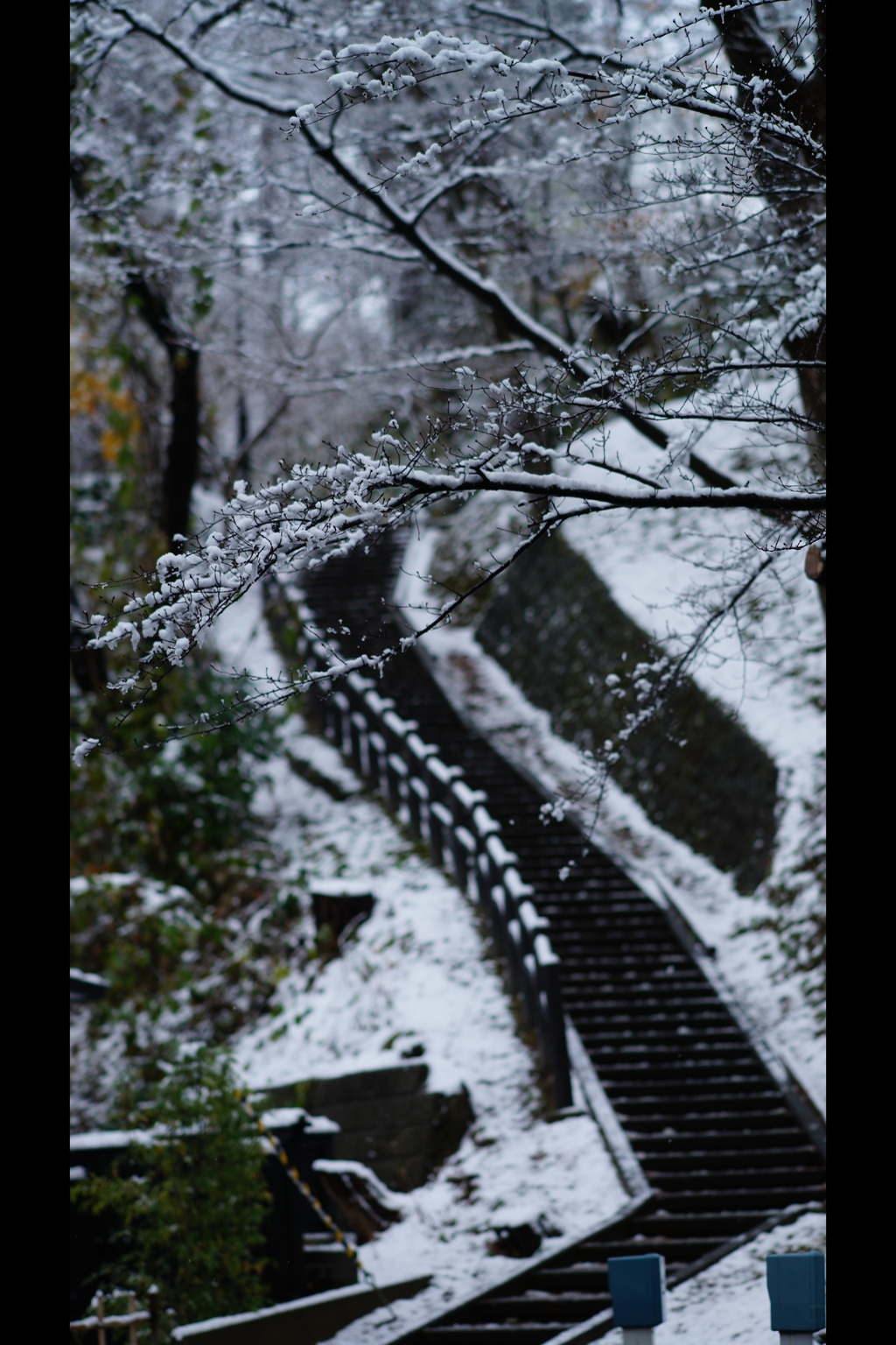 千秋公園冬の章4