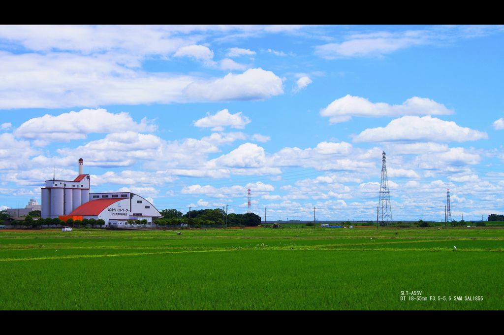 梅雨の晴れ間