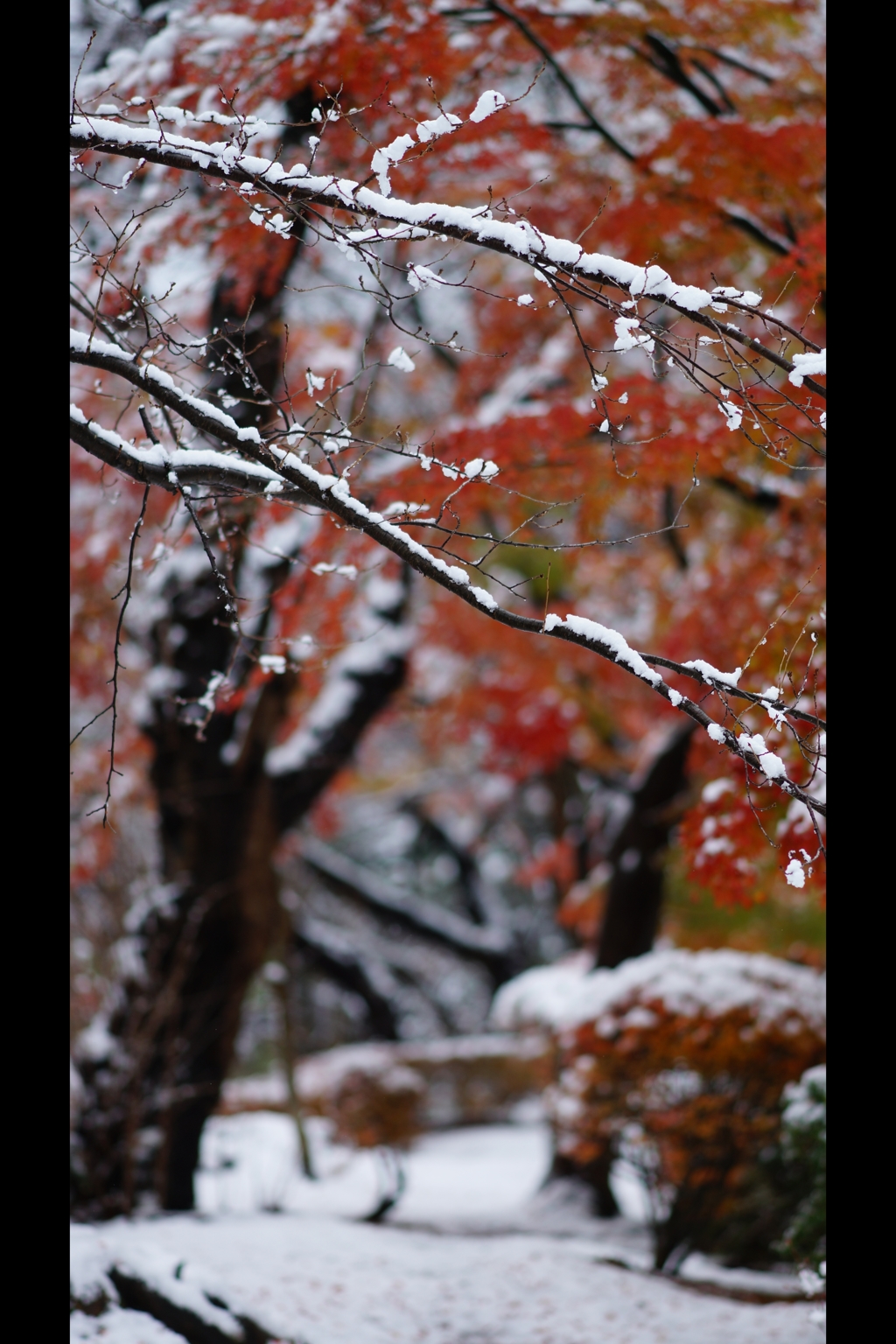 千秋公園冬の章2
