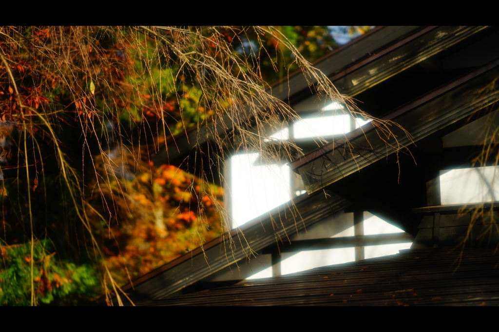 屋根と紅葉5