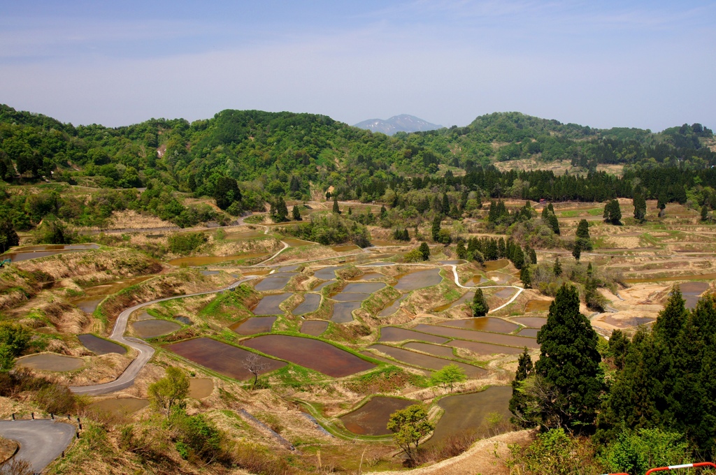 星峠の棚田