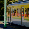 紅葉電車