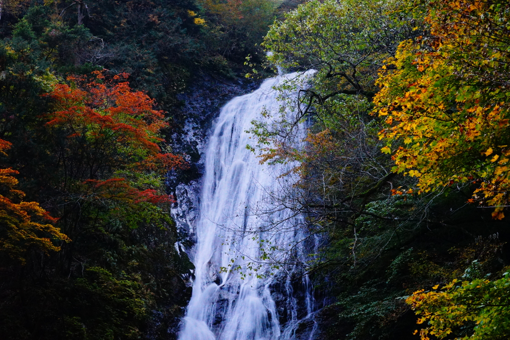 丸神の滝3