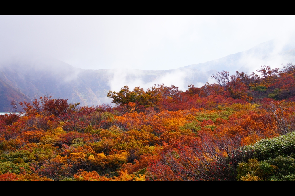 鳥海山1
