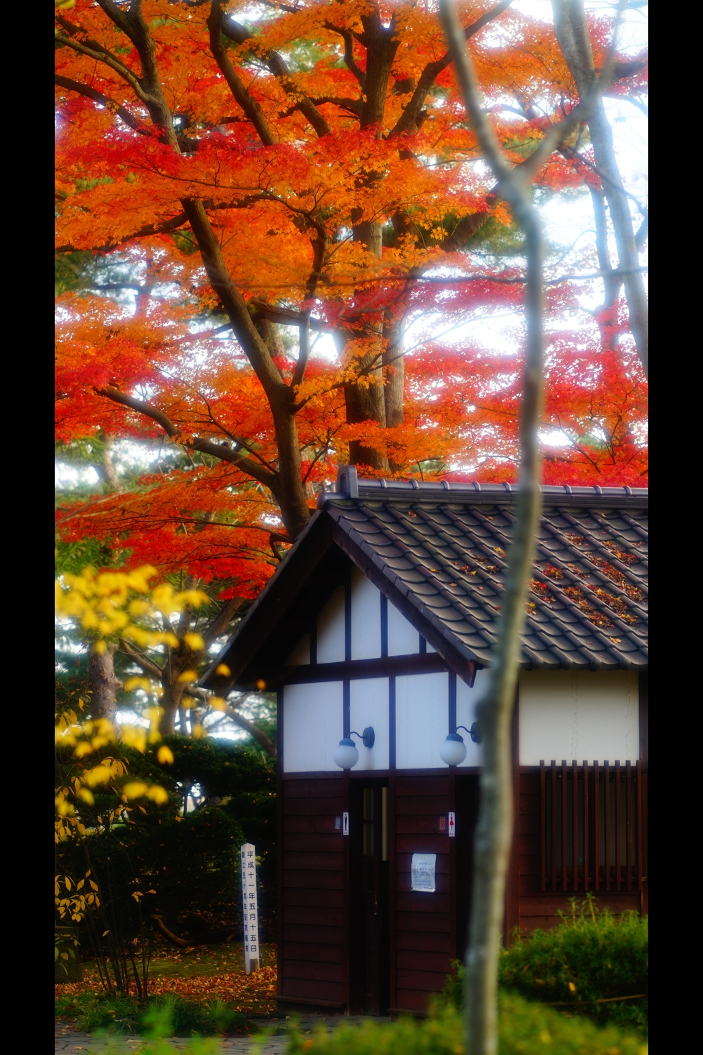 公園のトイレ