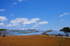 ひたち海浜公園