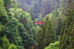 向こうの橋
