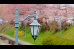 大川端帯状近隣公園