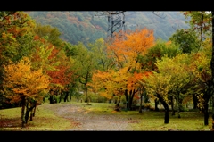 高原千葉村