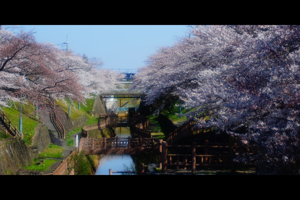 春日和3