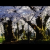 千秋公園1