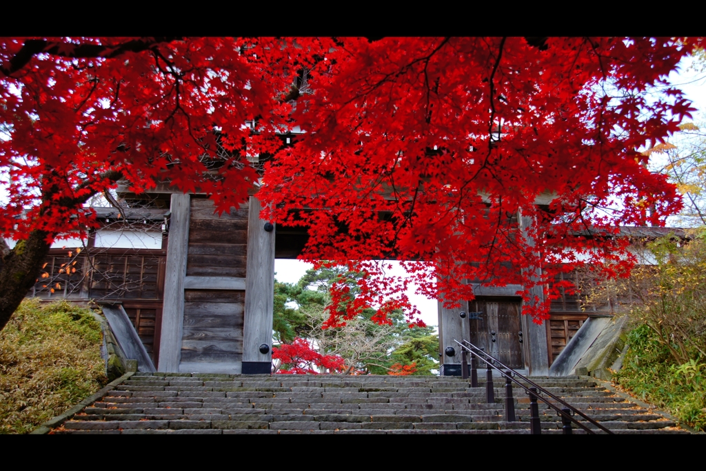 千秋公園1