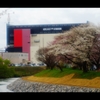 2019桜3