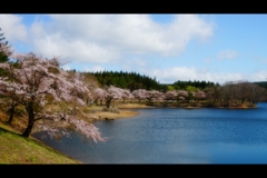 四角井戸溜池