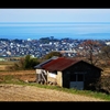 柿の木のある光景