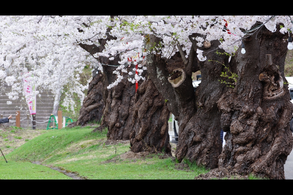真人公園