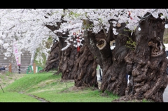 真人公園