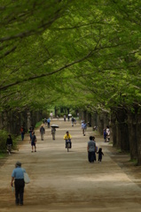 昭和記念公園Ⅱ