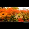 千秋公園2
