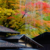 武家屋敷秋の章10