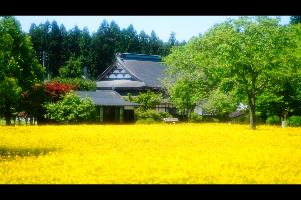 2015年6月