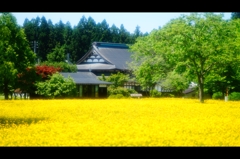 2015年6月