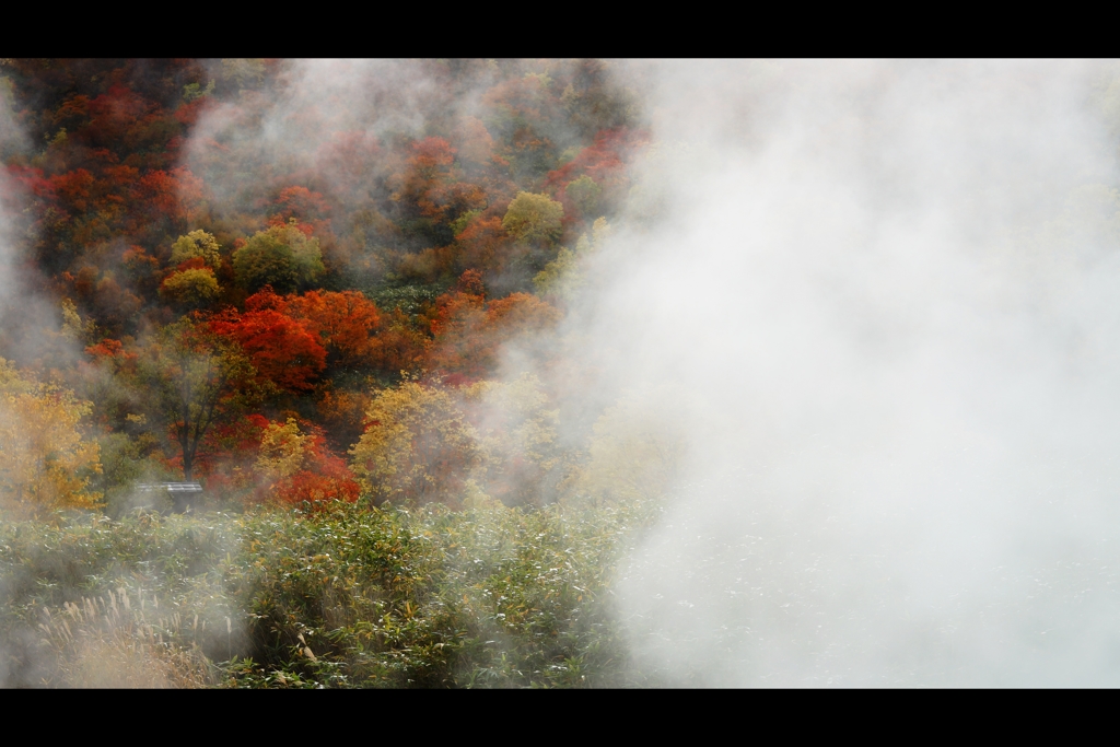 湯煙と紅葉