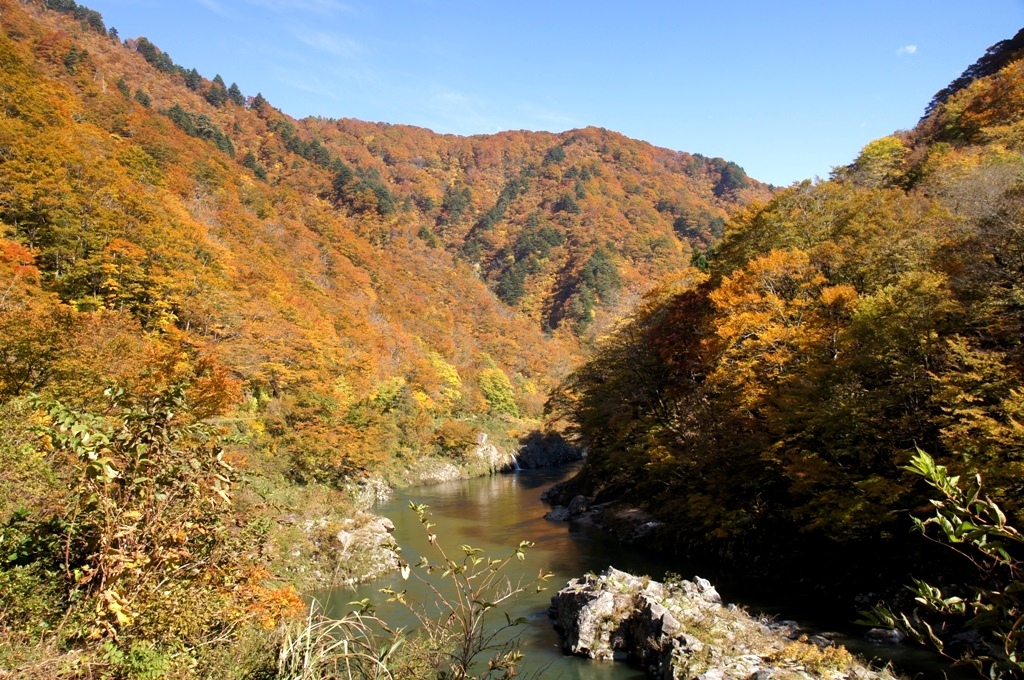 赤芝峡