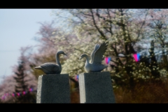 あらやさくら公園3