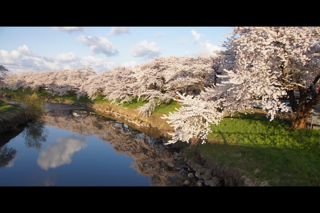 太平川堤防1