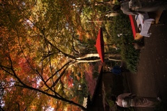 憩