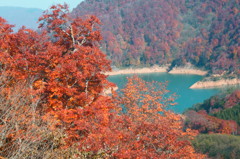 田代湖