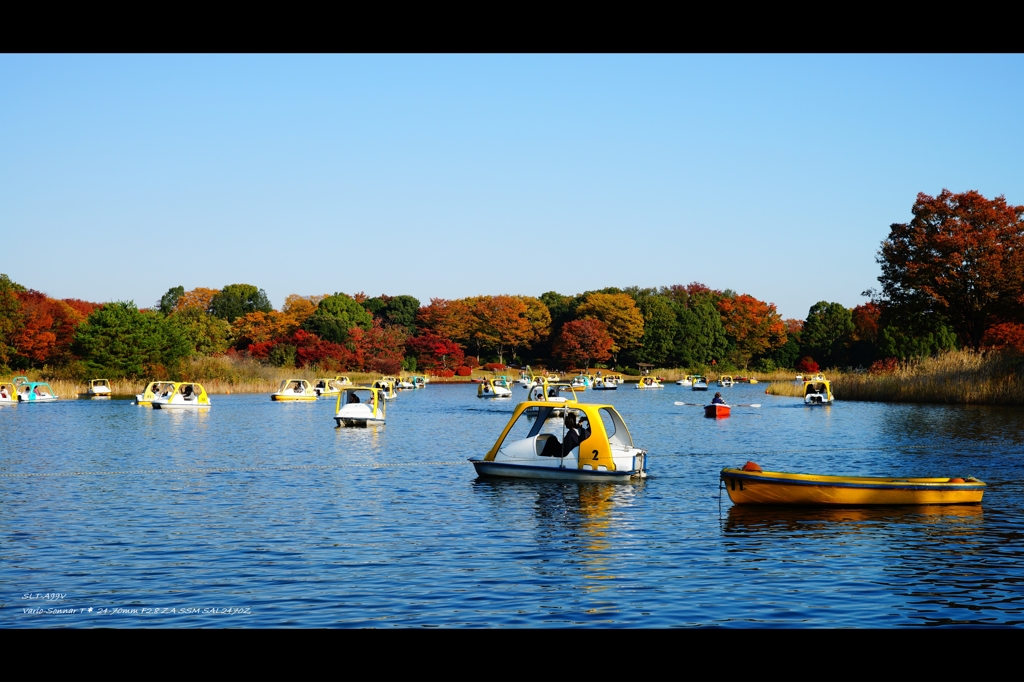 昭和記念公園1