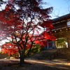 千秋公園1