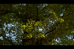 もうすぐ。。。