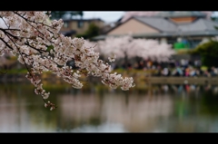 勢至公園