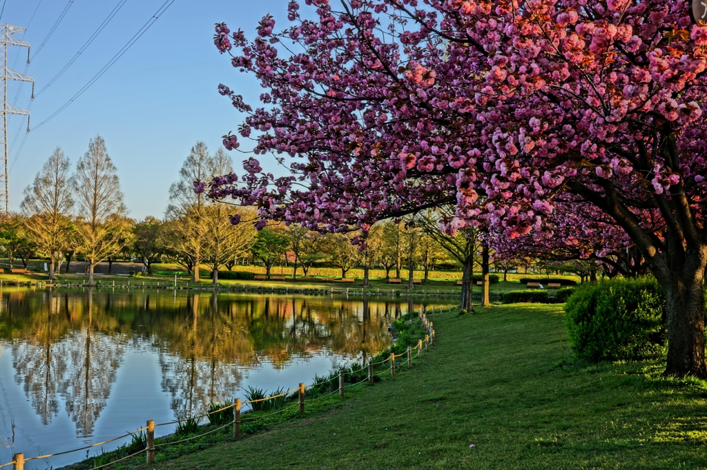 川越水上公園