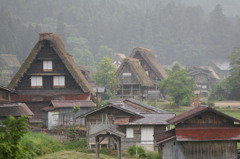 雨の白川郷