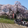 行列のできる・・・。