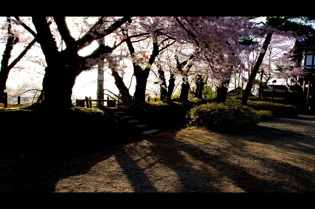 千秋公園の朝