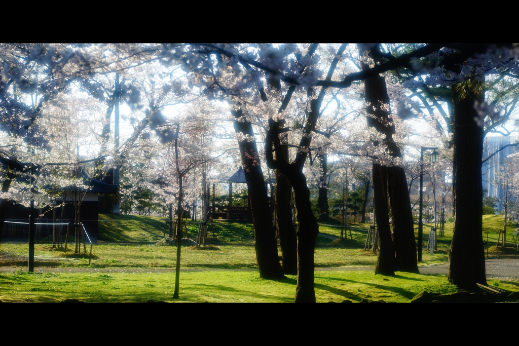 千秋公園3