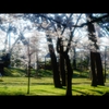 千秋公園3