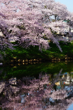 太平川水鏡2