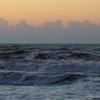 海