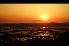 水田夕景3