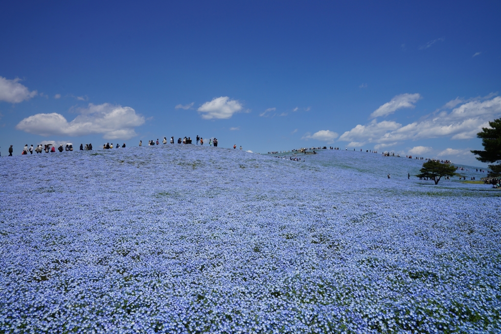 天空を歩く